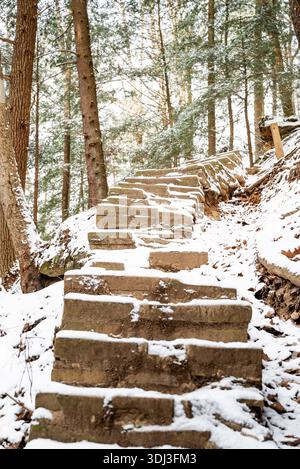 Dies ist ein Blick auf eine schneebedeckte Treppe auf einem Pfad zwischen den Pines an den Cantwell Cliffs im Hocking Hills State Park, Ohio. Stockfoto