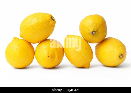 Frische gelbe Zitronen isoliert auf weißem Hintergrund. Reife Zitrusfrüchte in Gruppe angeordnet. Natürliche vitaminreiche Lebensmittelzutat. Gesundes Ernährungskonzept. Stockfoto
