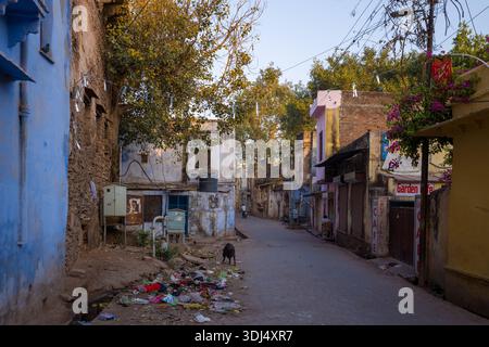 Bundi, Indien - 19. März 2022: Eine ruhige Straße, gesäumt von geschlossenen Geschäften, verwitterten Gebäuden, Freileitungen, verstreutem Müll auf dem Boden und einem streunenden Schwein, das bei Tageslicht in der Nähe des Trümmers auf der Suche ist. Stockfoto