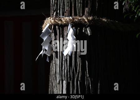 An japanischen Schreinen sind „Shide“ zickzackförmige Papierschmuck, die an Seilen der Shimenawa befestigt sind und zur Abgrenzung heiliger Räume verwendet werden. Stockfoto