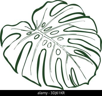 Linienzeichnung eines Monstera-Blattes mit gespaltenen Lappen und natürlichen Löchern in der Mitte Stock Vektor