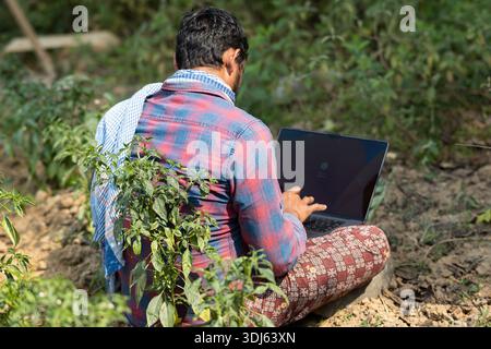 Landwirt, der auf Laptop in der Landwirtschaft arbeitet und intelligente Landwirtschaft und digitale Landwirtschaftstechnologie repräsentiert. Konzept der modernen Landwirtschaft, Data-dri Stockfoto