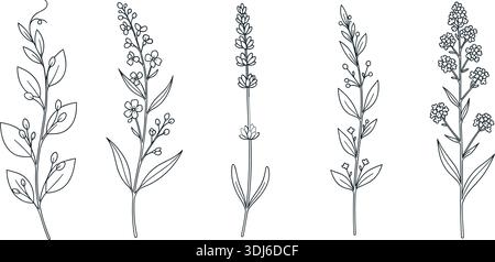 Vektorsammlung von handgezeichneten botanischen Blumenelementen, Wildblumen und Kräuter Linie Kunst Illustrationen, isolierte schwarze Skizze auf weißem Hintergrund Stock Vektor