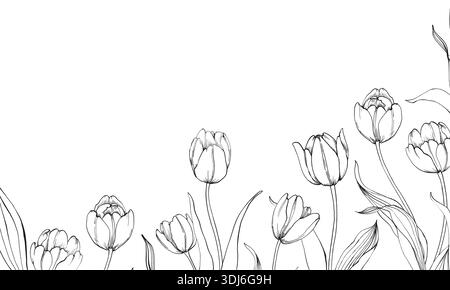 Tulpen grafische Vektor-Illustration, handgezeichnet in Tinte. Schwarz-weißer Rahmen mit Blumen Stock Vektor