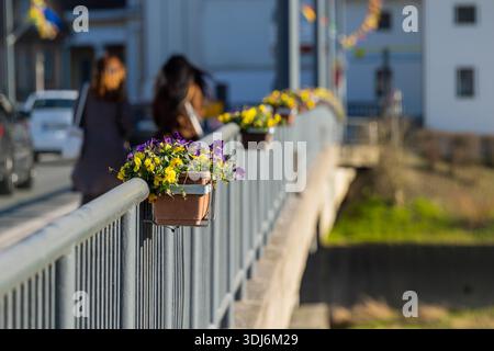 Farbenfrohe Frühlingsblumen in kleinen Töpfen säumen ein Geländer der Fußgängerbrücke, die in warmem Sonnenlicht leuchten, während die Menschen in weichem Fokus vorbeigehen und einen erzeugen Stockfoto