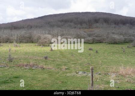 Ein Pfad, der zum Wald führt, auf dem Appalachian Trail in den Grayson Highlands Virginia Stockfoto
