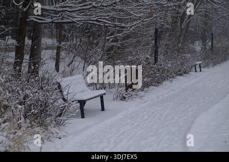 Schneebedeckter Parkweg mit leeren Bänken und Bäumen bei aktivem Winterschnee. Konzept der Winterparklandschaft, Einsamkeit, kalte Jahreszeit, Friedenspaß Stockfoto