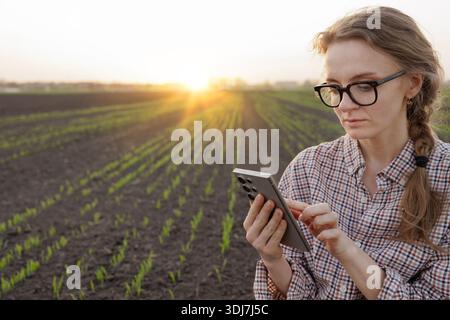Agrarwissenschaftlerin mit Smartphone zur Überwachung der Erntedaten auf dem Feld bei Sonnenaufgang, modernes Konzept für intelligente Landwirtschaft. Stockfoto
