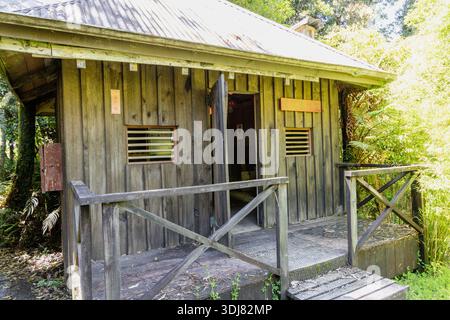 Rustikale Hölzerne Hütte Veranda Inmitten Üppiger Wälder Stockfoto