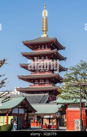 Tempelgebäude mit der fünfstöckigen Pagode, die hinter ihnen im Senso-JI-Tempel, AKA Asakusa kannon Tempel, an einem sonnigen Frühlingstag aufragt. Blauer Himmel Stockfoto