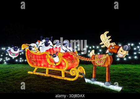 Longleat Festival of Light, Longleat Estate, Warminster, 01/2026 Stockfoto
