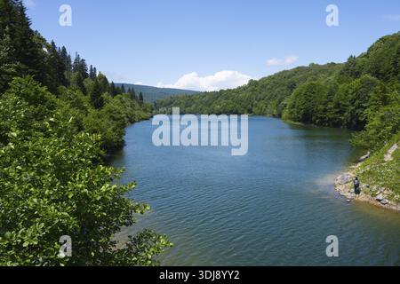 Ruhiger Fluss umgeben von dichten grünen Wäldern unter klarem blauem Himmel, Shaori Reservoir, Racha Region, Georgia Stockfoto