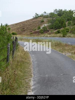 Schoorl, nord-holland, niederlande, Asphaltweg, der in Richtung kurviger Straße führt, die bergab führt Stockfoto