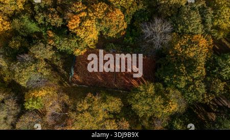 Herbst-Tennisplatz versteckt im Wald - aus der Vogelperspektive Stockfoto