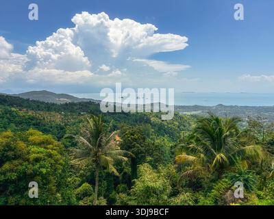 Idyllischer Blick auf den tropischen Dschungel und das Meer mit entfernten Inseln, Koh Samui Stockfoto