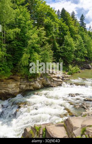 Landschaft mit Gebirgsfluss, der an einem Sommertag durch den Wald fließt. Wunderschöne Naturkulisse mit schnellem Wasserstrom mit Kaskaden und felsigem hil Stockfoto