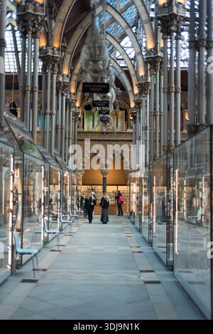 Natural History Museum, Oxford University, Großbritannien Stockfoto