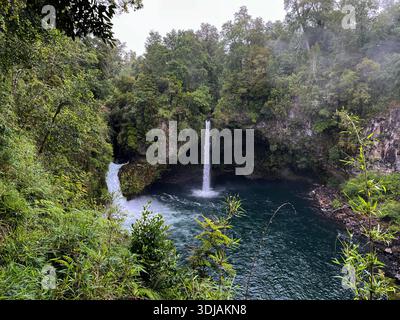Wunderschöne üppige grüne Landschaft im Saltos del Nilahue Park, Chile, mit zwei kaskadierenden Wasserfällen, die in eine klare türkisfarbene Lagune münden. Stockfoto