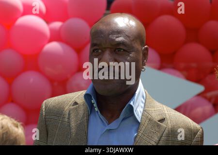 Delroy Lindo nimmt am 16. Mai 2009 an der Premiere von Disney Pixar’s Up im El Capitan Theatre in Hollywood Teil. Stockfoto