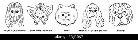 Doodle Köpfe verschiedener Rassen Hundeset Stock Vektor