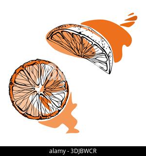 Orangenscheiben mit Saftspritzern, strukturiertem Tintenbrei und heller Zitrusschale. Frisches Obst Vektor Clipart handgezeichnet für Getränketiketten, Café-Branding Stock Vektor