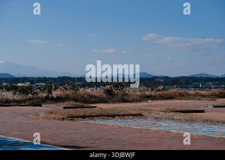 Küstenlandschaft auf Jeju Island, Südkorea, mit wilden Grasfeldern, Blick auf das ferne Meer und klarem blauem Himmel bei Tageslicht. Stockfoto