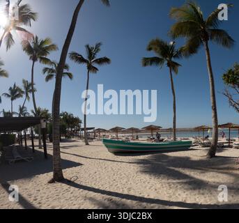 Ein sonniger Weitwinkelblick auf einen ruhigen Strand in Hawana Salalah, Oman, mit hohen Palmen, die lange Schatten auf den goldenen Sand werfen. Ein Petrol und weiß Stockfoto