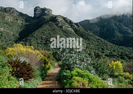 Der Weg führt durch einen grünen Garten mit Bergen dahinter Stockfoto