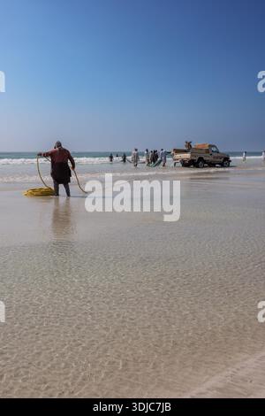 Eine authentische Szene, in der omanische Fischer zusammenarbeiten, um Fischernetze vom Meer auf einen klaren Sandstrand zu schleppen. Das Bild erfasst das traditionelle Stockfoto