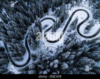 Aus der Vogelperspektive schlängelt sich eine gewundene Straße durch einen dichten Wald, deren schwarzer Asphalt einen starken Kontrast zu den umliegenden schneebedeckten Evergreens bildet, Cortina, Ven Stockfoto