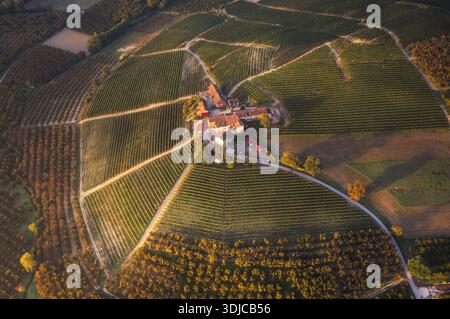 Aus der Vogelperspektive auf sonnengeküsste Weinberge färben die sanften Hügel in Gold- und Smaragdtönen, umgeben von einem malerischen Dorf im Herzen des Weins Stockfoto