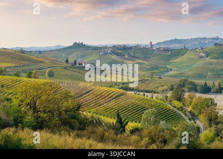 Weinberge rund um das auf einem Hügel gelegene Dorf Neive bei Sonnenuntergang, Langhe, Piemont, Italien Stockfoto