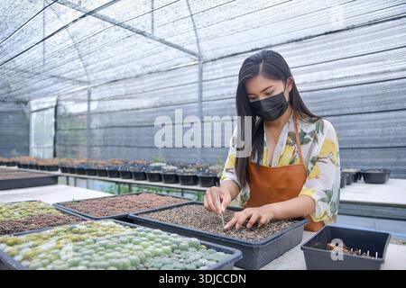 Nahaufnahme einer Frau mit Gesichtsmaske, die Samen in einem Saatgutbehälter in einem Gewächshaus in Thailand pflanzt Stockfoto