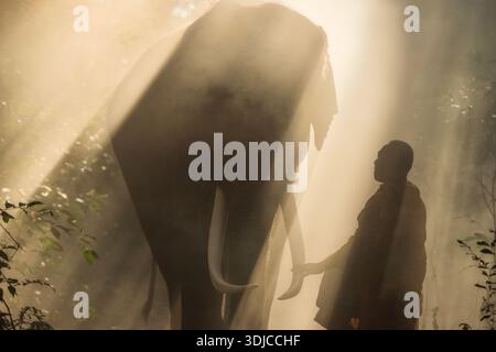Seitenansicht eines buddhistischen Mönchs in einem traditionellen orangen Gewand (Kusaya), der vor einem Elefanten steht, der an einem nebeligen Morgen Almosen sammelt, Krapho, Tha Tum District, Surin, Thailand Stockfoto