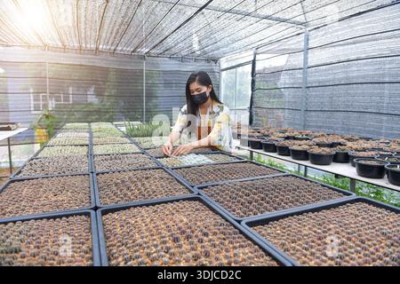 Nahaufnahme einer Frau mit Gesichtsmaske, die Samen in einem Saatgutbehälter in einem Gewächshaus in Thailand pflanzt Stockfoto