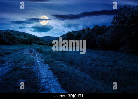 Nachts versteckt sich ein Feldweg im Wald. Pfad durch grasbewachsene Almwiesen bei Vollmondlicht im Sommer. Gruselige Landschaft in den Bergen. Stockfoto
