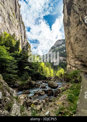 Blick in die Bicaz Gorges, die enge Bergstraße, die zwischen steilen Kalksteinklippen gemeißelt wurde, wobei der Bicaz River durch den Canyon in t fließt Stockfoto