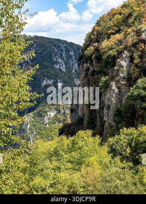 Blick auf die Vikos-Schlucht, eine dramatische Kalksteinschlucht in der Zagori-Region von Epirus, Griechenland, mit steilen Felsklippen, dichtem Wald darunter und stimmungsvollem Clo Stockfoto