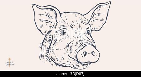 Schweinefleisch, Schwein, Schwein, Fleischskizze, handgezeichnet Stock Vektor