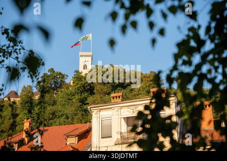 Ljubljana, Slowenien - 10. August 2025: Der weiße Uhrenturm der Burg Ljubljana erhebt sich über üppig grünen Bäumen und rot gekachelten Dächern, eingerahmt von zarten le Stockfoto