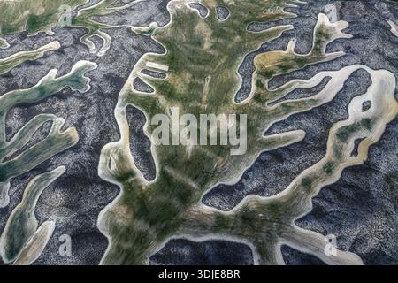 Aus der Vogelperspektive sehen Sie den starken Kontrast zwischen der trockenen, zerrissenen Erde und der lebendigen grünen Vegetation, die einen komplizierten natürlichen Wandteppich, Villamayor, schafft Stockfoto
