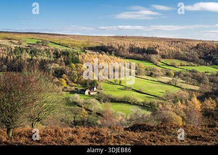 Grüne Felder und herbstliche Farben im Wald entlang Farndale auf den North Yorkshire Moors Stockfoto