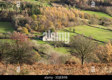 Grüne Felder und herbstliche Farben im Wald entlang Farndale auf den North Yorkshire Moors Stockfoto