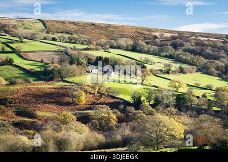 Grüne Felder und herbstliche Farben im Wald entlang Farndale auf den North Yorkshire Moors Stockfoto