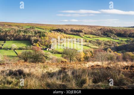 Grüne Felder und herbstliche Farben im Wald entlang Farndale auf den North Yorkshire Moors Stockfoto