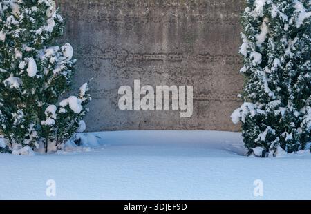 Ein Betonzaun mit symmetrisch platzierten kleinen schneebedeckten Tannen entlang der Kanten, bedeckt mit Frost und Schnee. Stockfoto