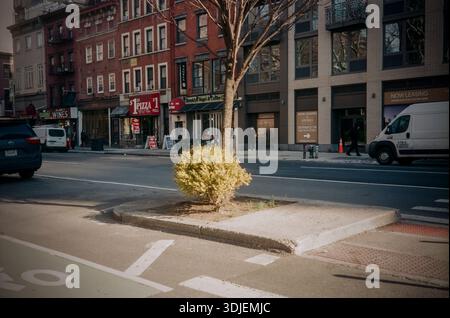 Baumgrube in Chelsea in New York im Januar 2026. (© Richard B. Levine) Stockfoto