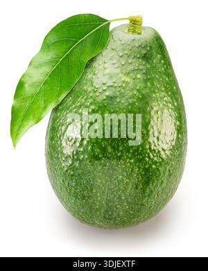 Ganze grüne Avocado mit Avocadoblatt isoliert auf weißem Hintergrund. Datei enthält Beschneidungspfade. Stockfoto