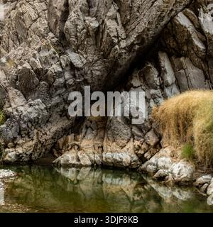 Der Kleine Pool Des Grünen Wassers Ist Alles, Was Im Mariscal Canyon Im Big Bend National Park Übrig Geblieben Ist Stockfoto