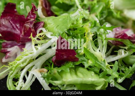 Frische gemischte Salatfelder stapelten sich aus nächster Nähe. Stockfoto